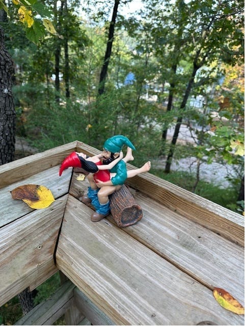Customer photo review of Ride
