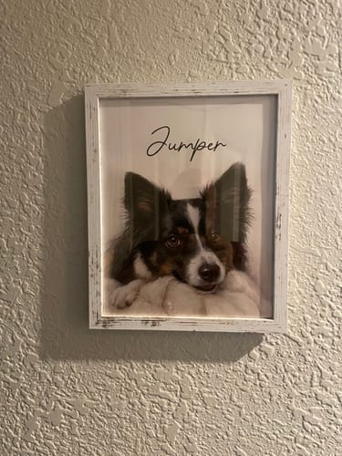 Customer photo review of Custom Watercolor Portraits Using Pet Photo - Personalized Poster - Gift for Dogs Cats Lovers, Pet Lover Gift