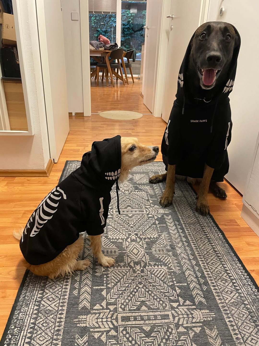 Customer photo review of Halloween Dog Hoodie - Reflective Skeleton