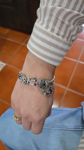 Customer photo review of Charm Casa de UP "Adventure Is Out There"