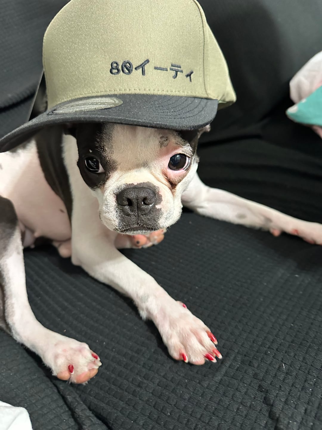 Customer photo review of 80Eighty® Midori Hat