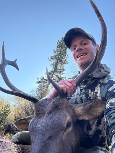 Customer photo review of Titanium Broadheads