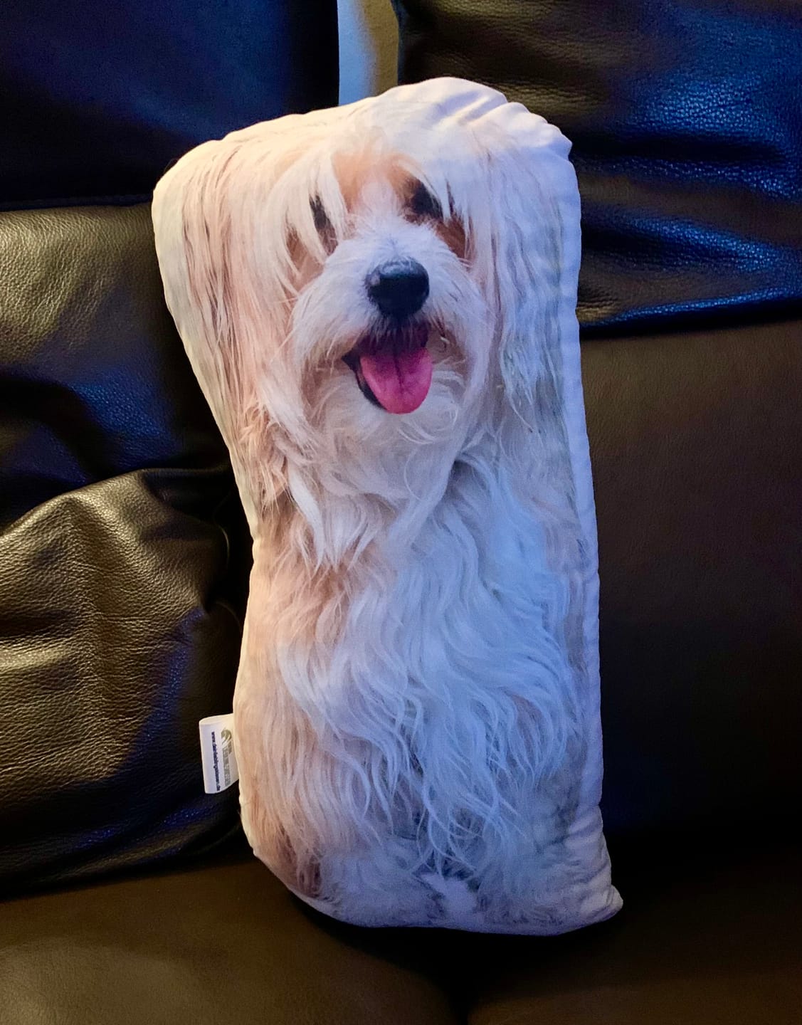 Customer photo review of Personalisiertes Hundekissen