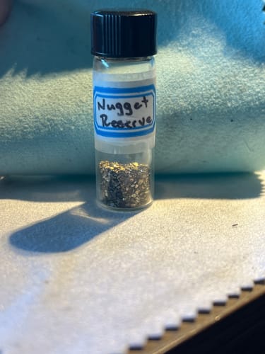 Customer photo review of 5 Lb. NUGGET RESERVE™ ‘Specimen Elite’ - Gold Paydirt