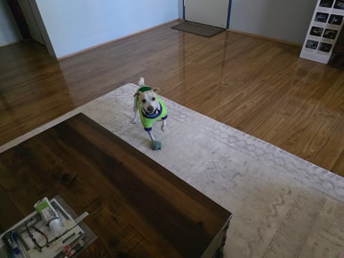 Customer photo review of The Mellow Mat v2® Designer Print | Sandstone Haze (Soft Touch Sensory Tatami Rug) PR02