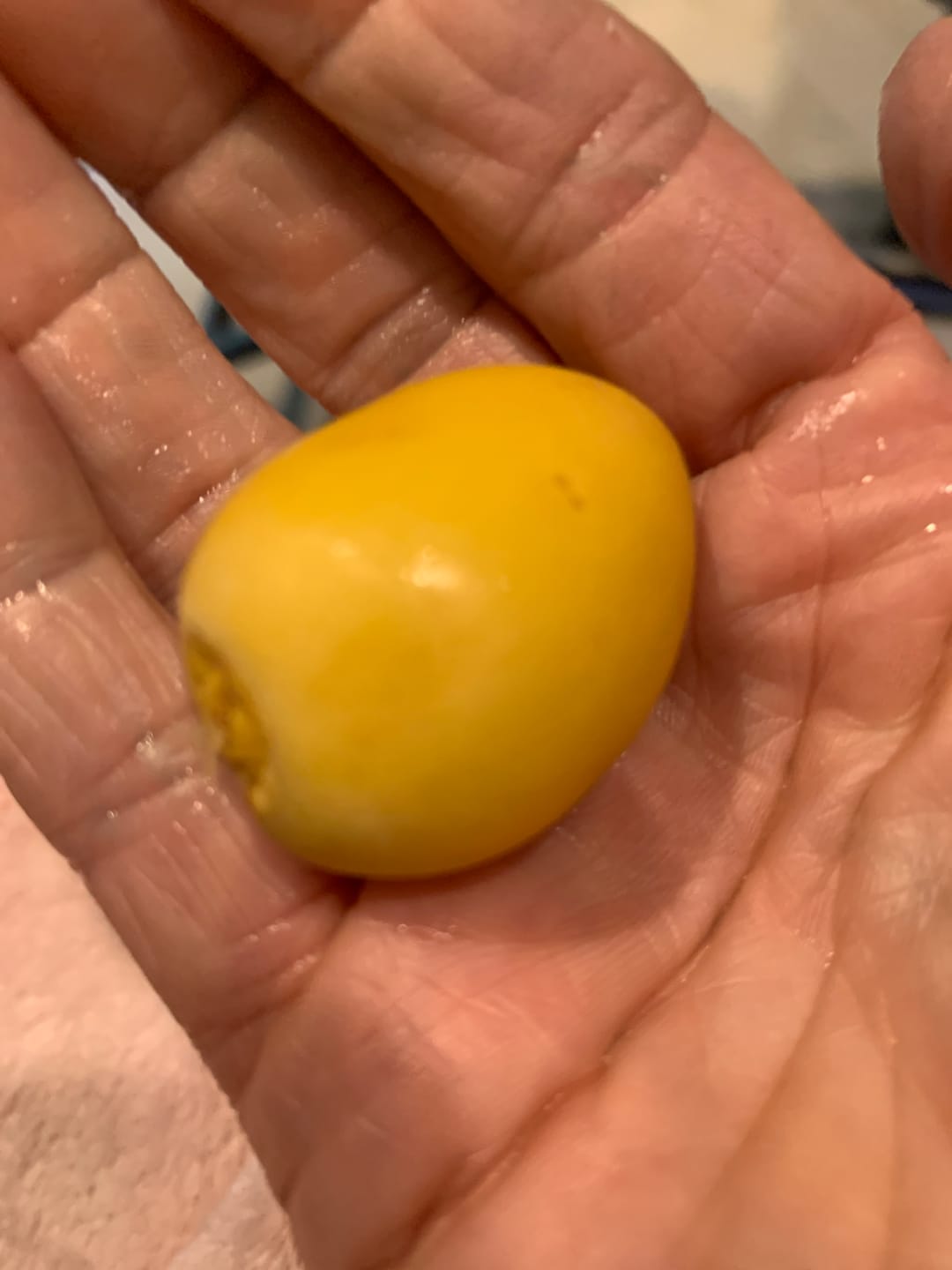 Customer photo review of Organic Yellow Barhi Dates (Khalal Barhi Dates)