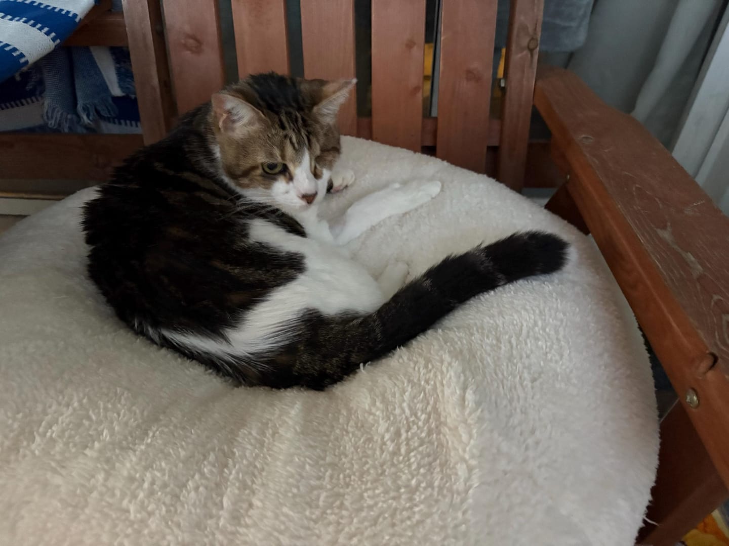 Customer photo review of Marshmallow Pudding Bed