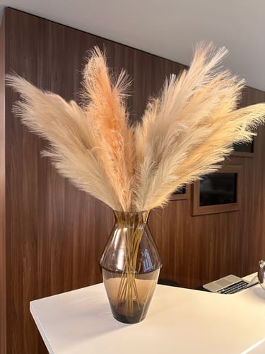 Customer photo review of Pampas 110cm (3 stengels)- Beige