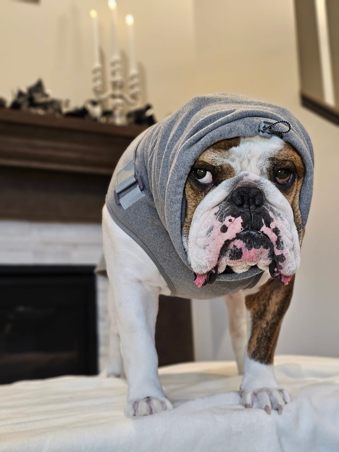 Customer photo review of Anxiety Calming Suit - Heather Grey