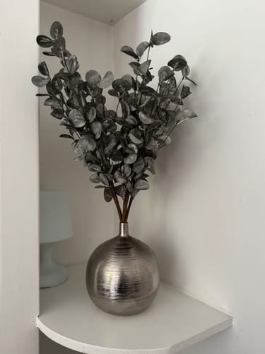 Customer photo review of Eucalyptus - Vert forêt (5 tiges)