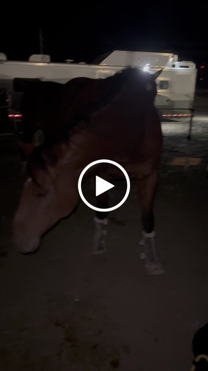Customer video review of Ready Made Portable Electric Horse Corral Fencing: (Electric EconoLine 10+2=12 Panels; 2 Rails)