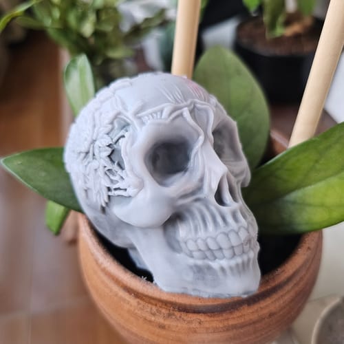 Customer photo review of Molde calavera
