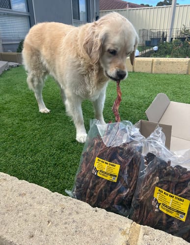Customer photo review of Kangaroo Tendons - Natural Dental Chews!