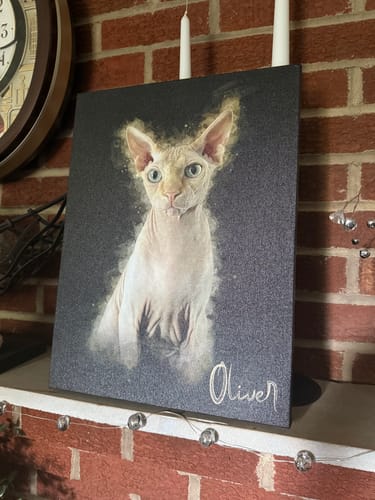 Customer photo review of Personalized Cat portrait