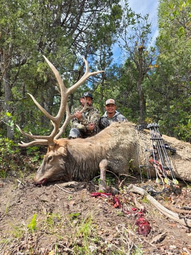 Customer photo review of Aluminum Broadheads