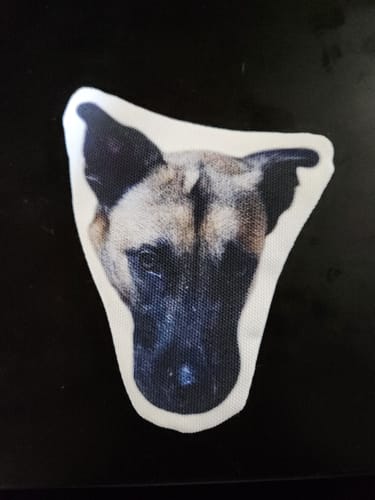 Customer photo review of 本物そっくり♪ペットフェイスバッグ