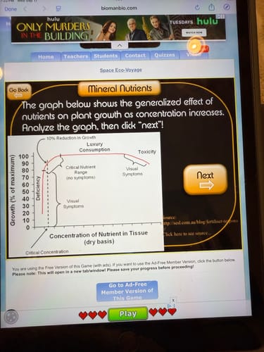 Customer photo review of Multi Trim Puff Sleeve Mini Dress W/Pockets