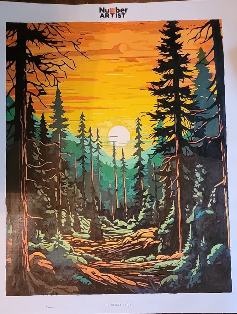 Customer photo review of Tall Trees Forest