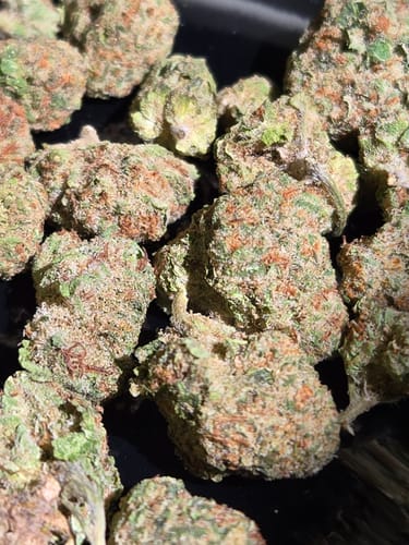 Customer photo review of THCA Queen