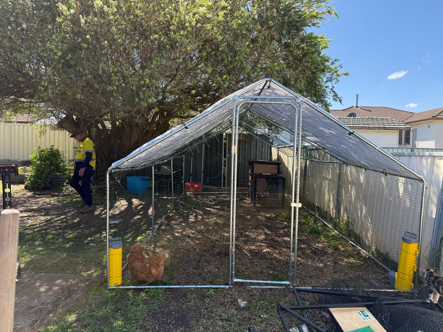 Customer photo review of Outdoor Cat Run Enclosure Large 6M