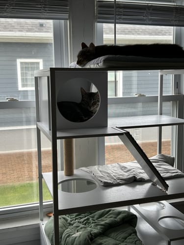 Customer photo review of Puffer Ravioli Bed