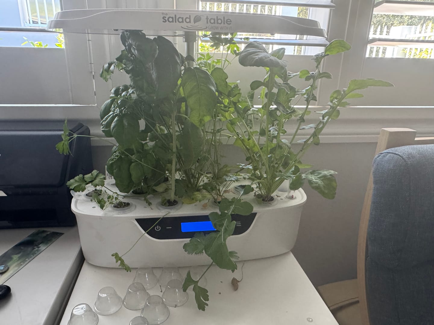 Customer photo review of 24 Pack Grow Pods for Kitchen Garden