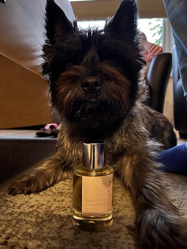 Fotorecensie van een klant over Smokey Pineapple