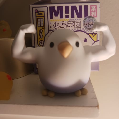 Customer photo review of Love Bird Series Little Bird Egg Mini Blind Box