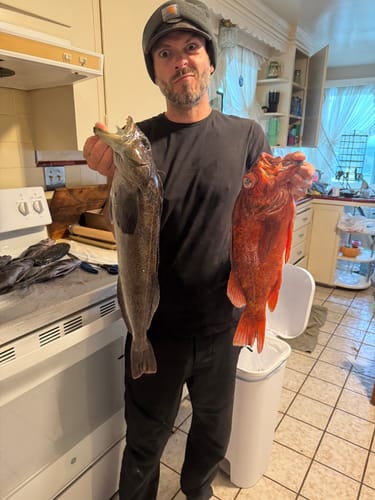 Customer photo review of Exclusive Long Shank Jig Heads 4 PACK by Fisherman's Life (1/2oz, 1oz, 1.5oz)