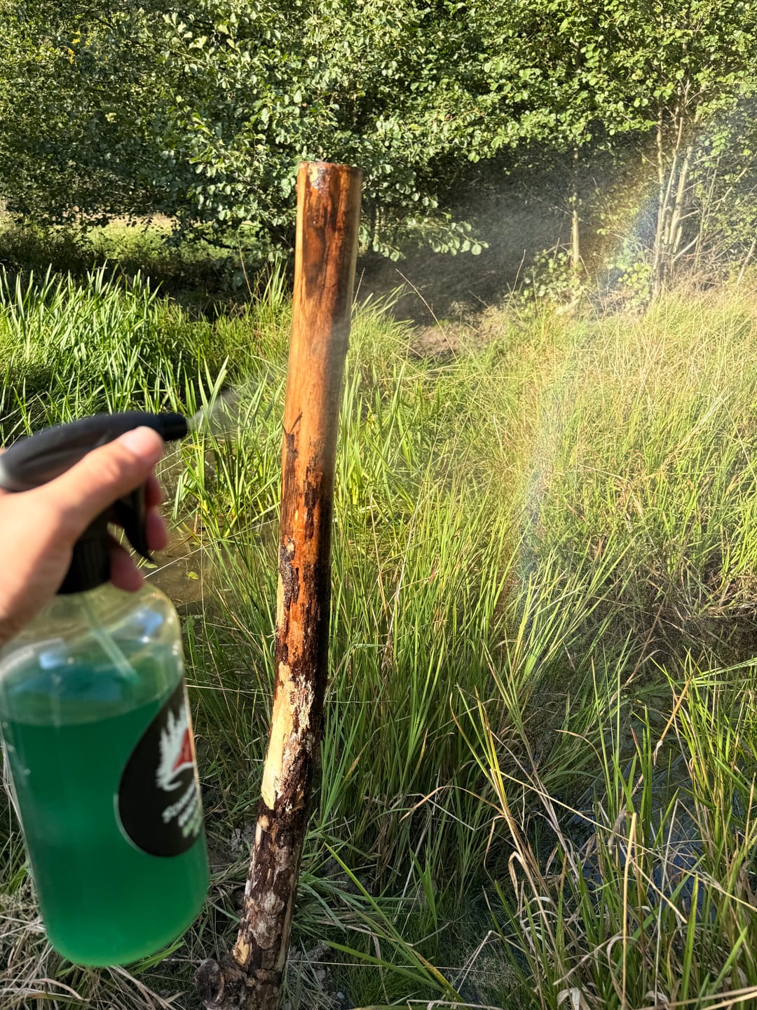 Customer photo review of Salzspray Apfel - Lockmittel Rehwild, Schwarzwild, Rotwild und Damwild