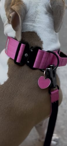 Customer photo review of Pink Bully Proof Collar