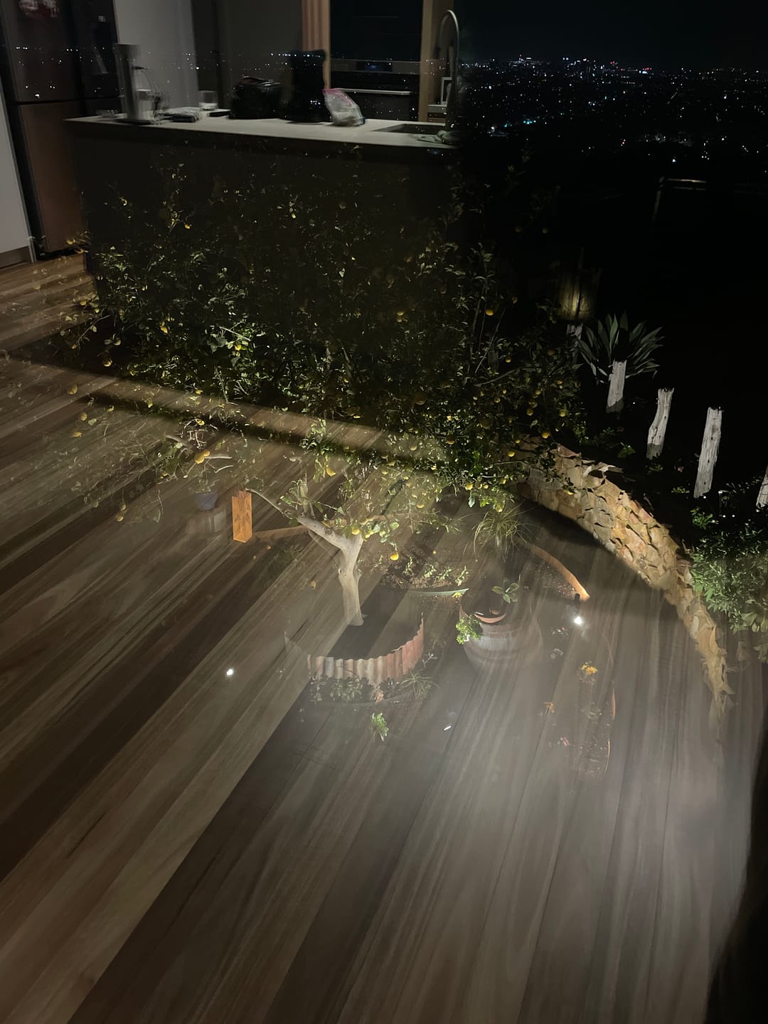 Customer photo review of Solar Ground Spotlights