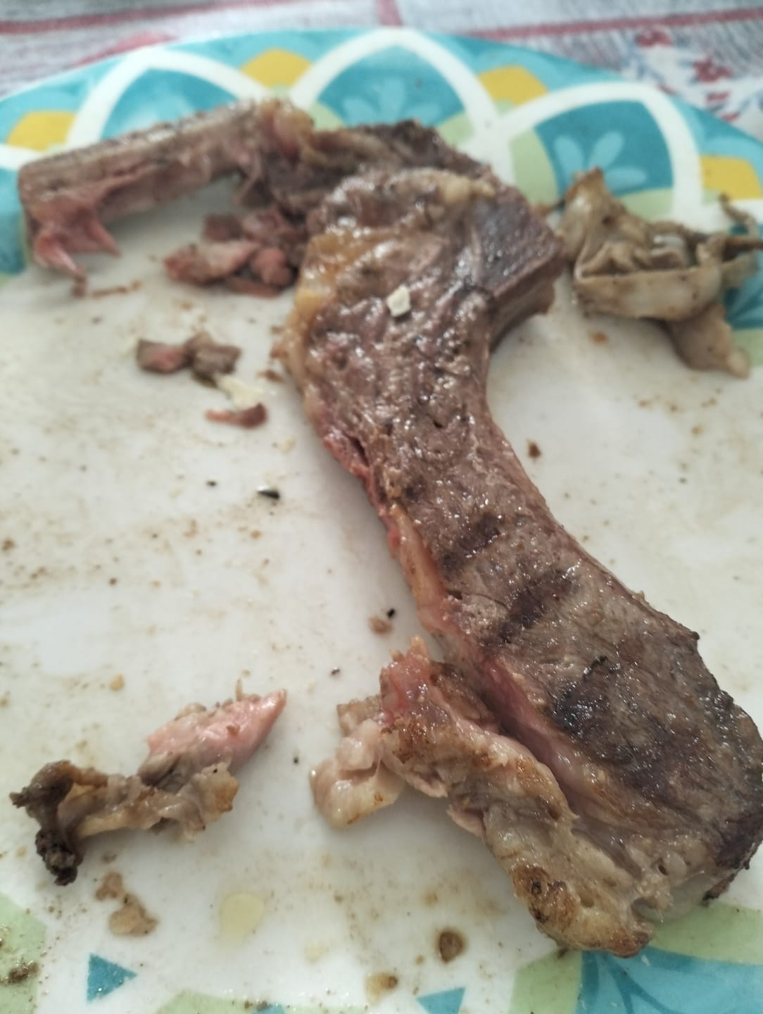 Customer photo review of Pacco Famiglia Scottona 6 Kg Grassfed