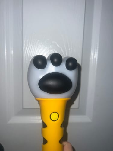 Customer photo review of DAESUNG - OFFICIAL LIGHT STICK