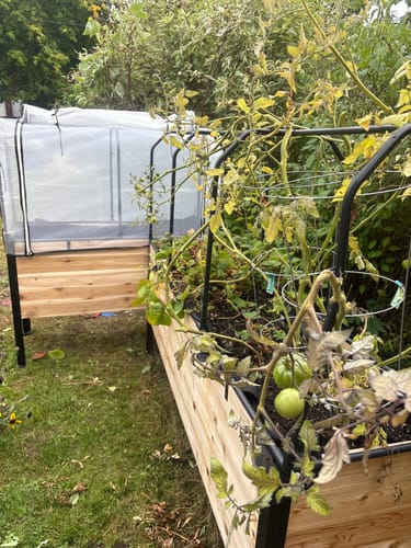 Customer photo review of 18" x 48" Raised Garden Bed - 30" TALL