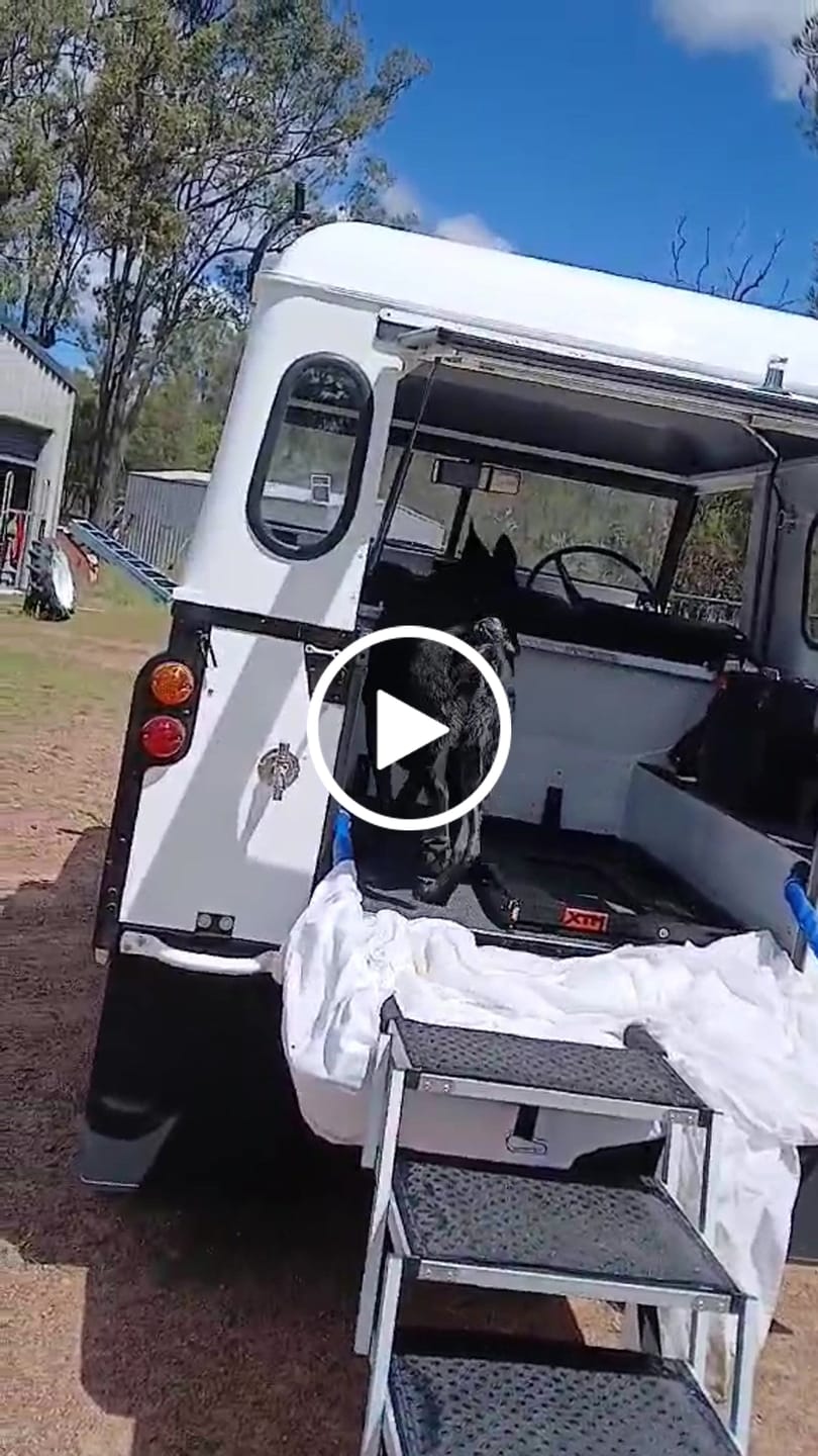 Customer video review of Foldable Aluminum Pet Steps