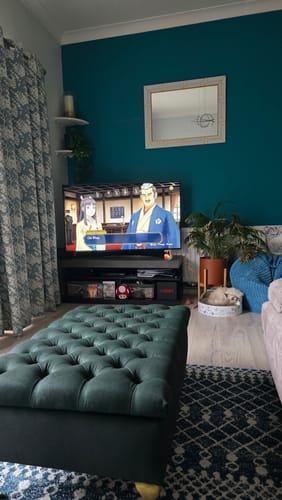 Customer photo review of Fabric Paint -- Dark Green