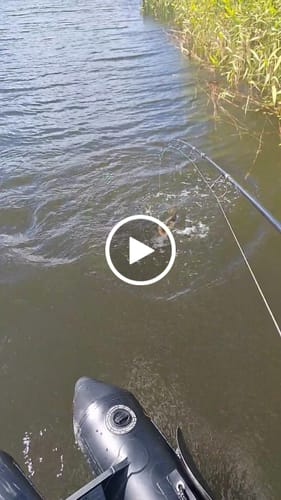 Customer video review of JonStar-X  Chatterbait