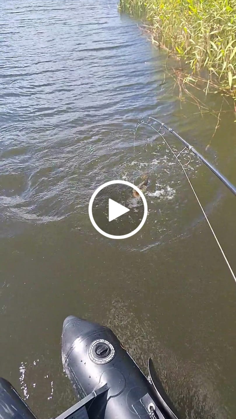 Customer video review of JonStar-X  Chatterbait