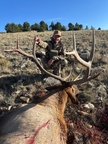Customer photo review of Titanium Broadheads