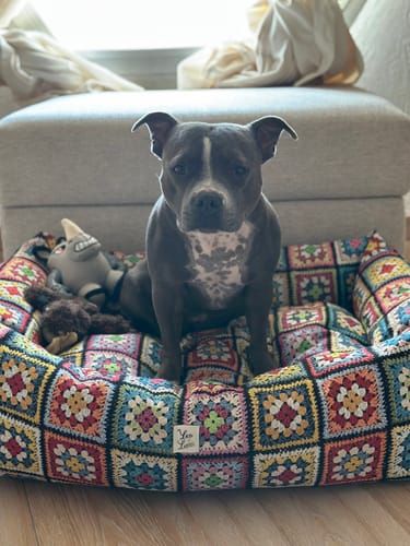 Customer photo review of Divanetto Crochet in Cotone Panama Superior