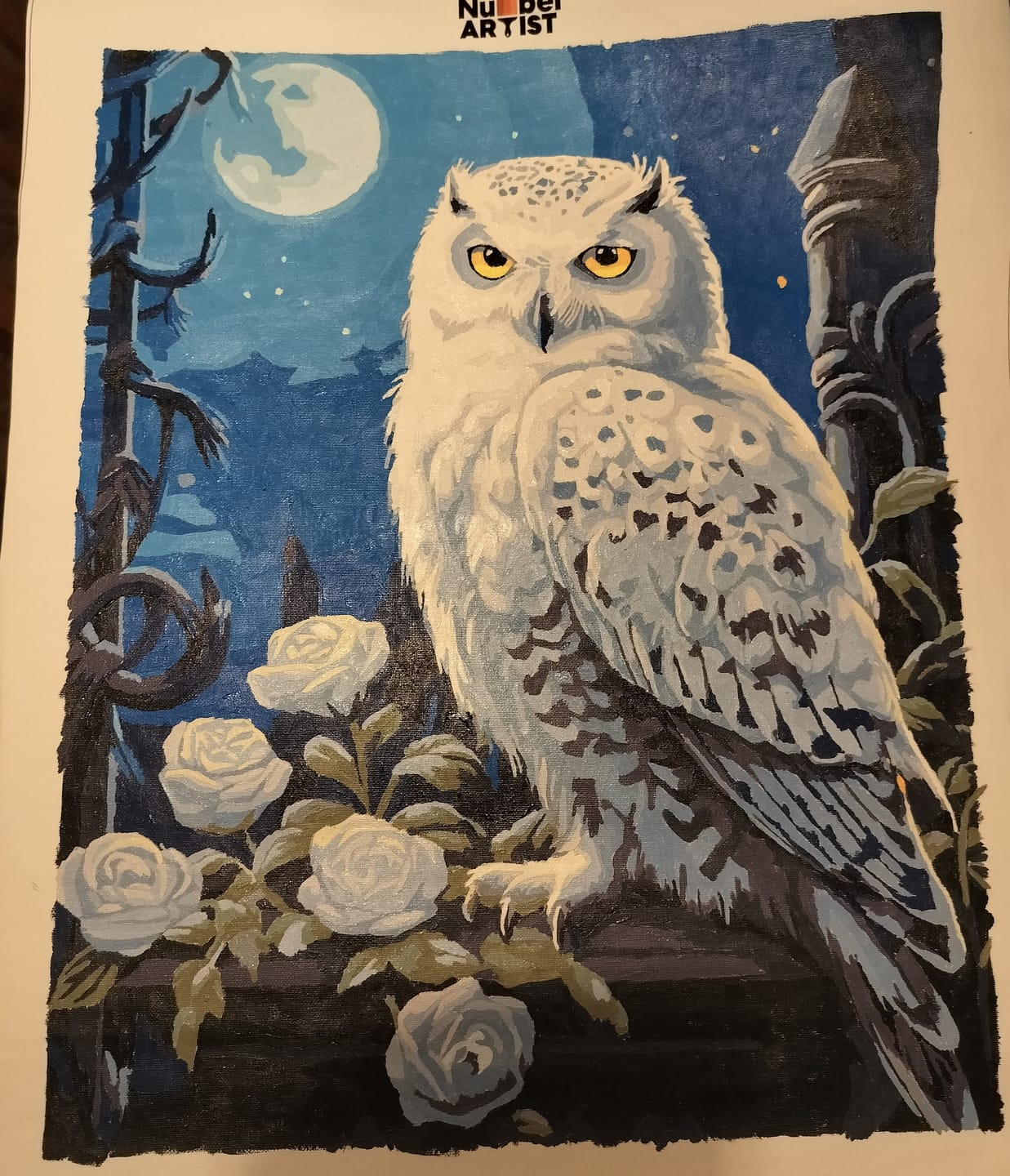 Customer photo review of Snowy Owl