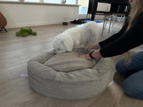 Customer photo review of Staey - Luna 3.0 Hundeseng, Dune Fløjl