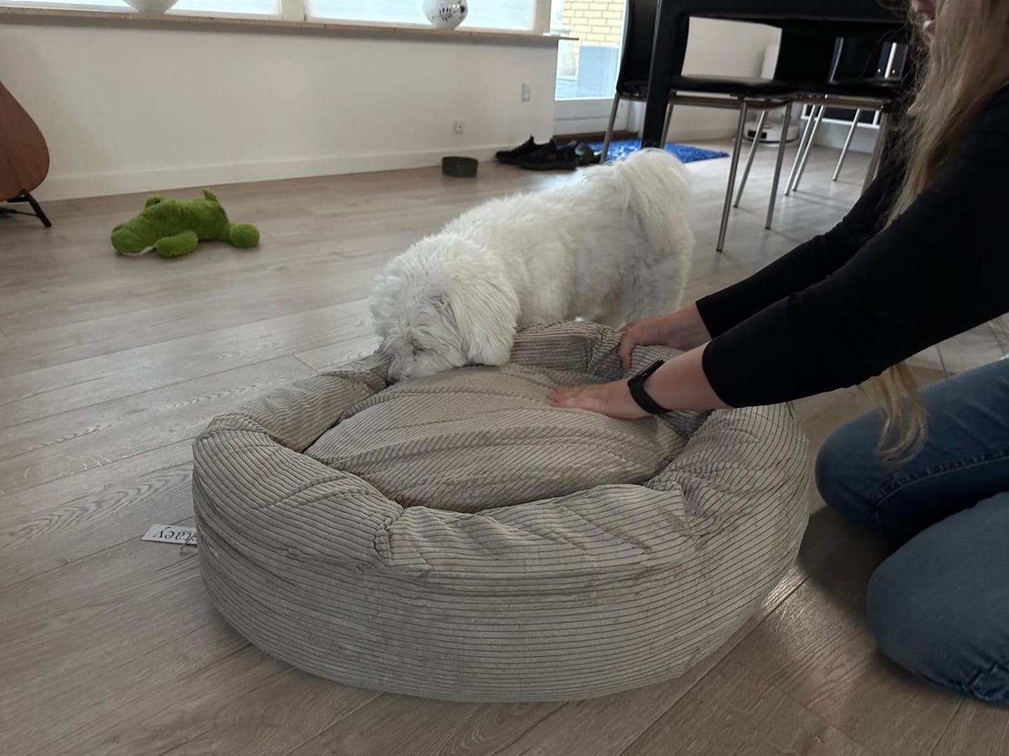 Customer photo review of Staey - Luna 3.0 Hundeseng, Dune Fløjl