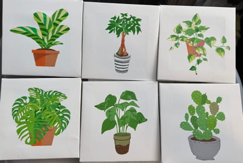 Customer photo review of 9 Mini Paintings – Indoor Plants Set | Paint by Numbers