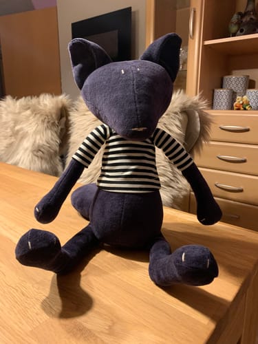 Customer photo review of ARTHUS, LE RENARD - GRAND