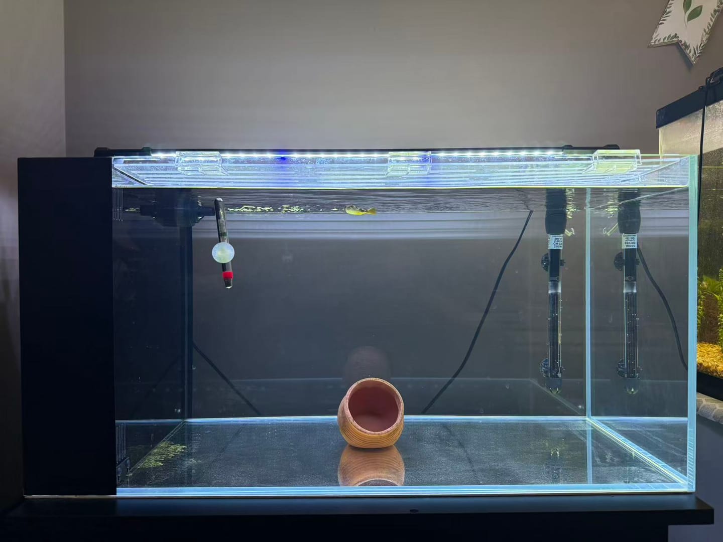 Customer photo review of Peter's Aquaverse Integra Series Aquarium Kit