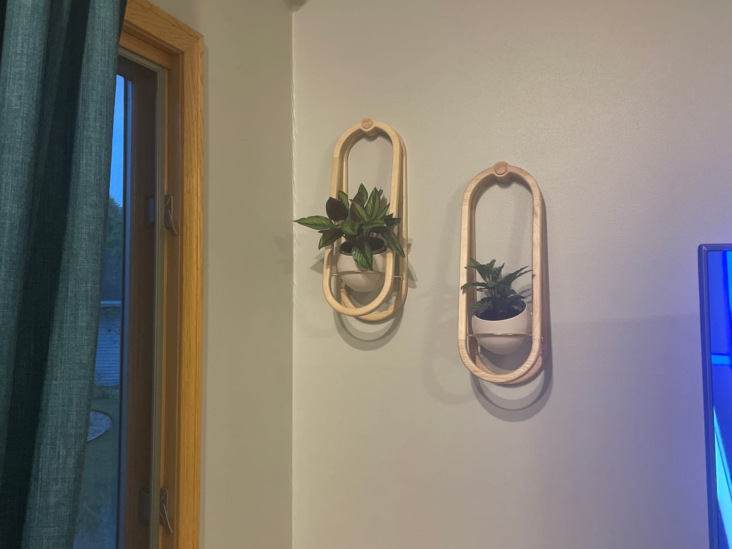 Customer photo review of Frame Wall Planter + Pot Duo