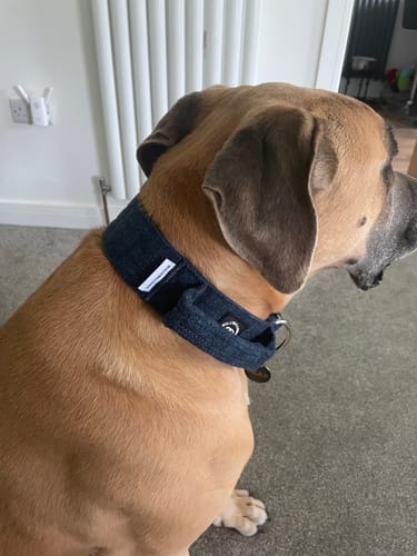 Robert B. review of 5cm Tweed Combat® Collar | With Handle & Secure Clip - Midnight Blue image 1 out of 1
