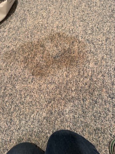 Customer photo review of Green Mitt Kit